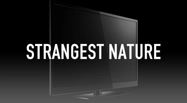Strangest Nature