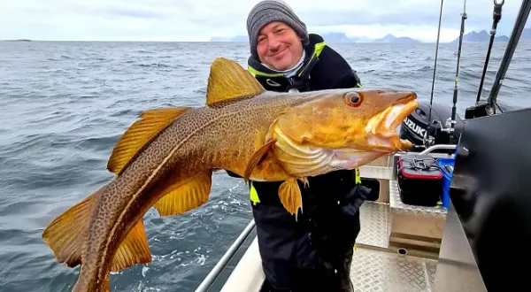 Géants Des Lofoten
