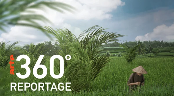 ARTE 360° Reportage