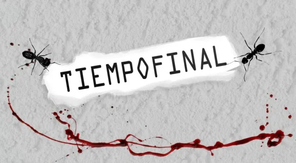 Tiempo final