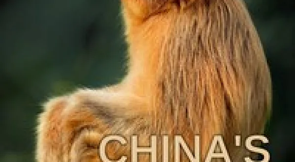 China's Wild Empire