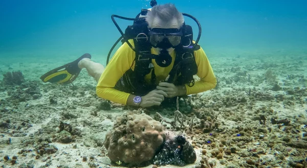 Im Einsatz für den Oktopus