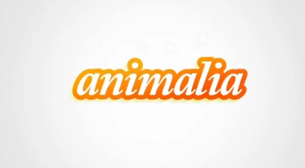 Animalia
