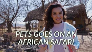Pets Goes on an African Safari