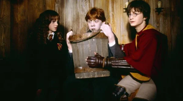 Harry Potter a Fénixův řád