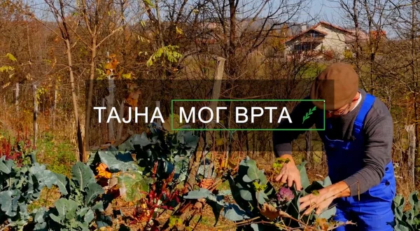 Tajna moga vrta