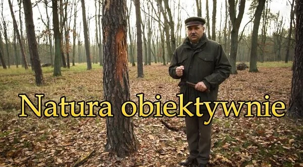 Natura obiektywnie