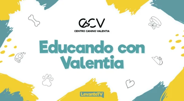 Educando con Valentia