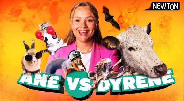 Newton: Ane vs dyrene