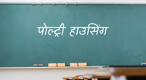 पोल्ट्री हाउसिंग