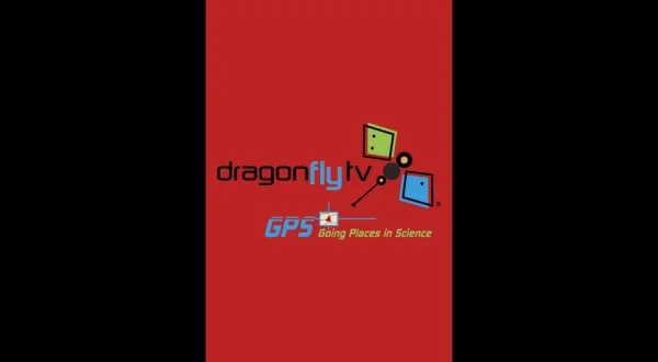 DragonFlyTV