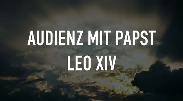 Audienz mit Papst Leo XIV