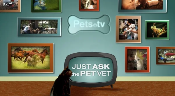 Just Ask the Pet Vet