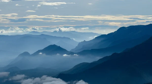 Wildes Indien: Nilgiris