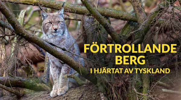 Förtrollande berg - I hjärtat av Tyskland