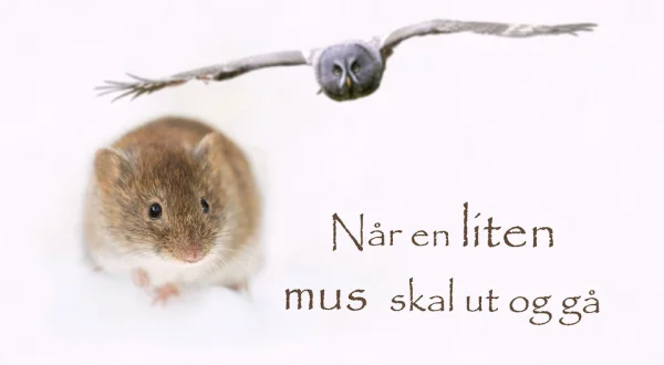 Når en liten mus skal ut og gå