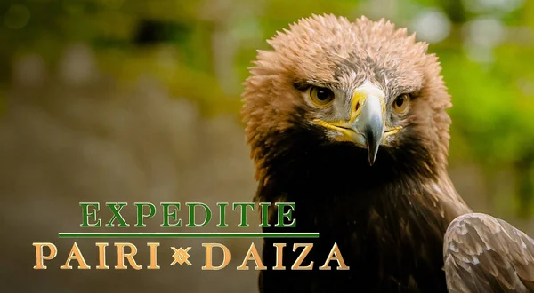 Expeditie Pairi Daiza