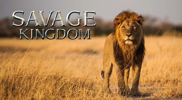 Savage Kingdom