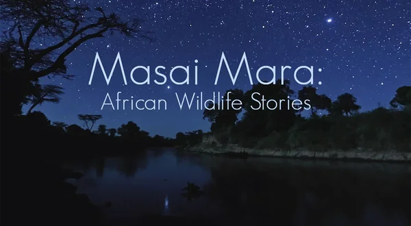 Masai Mara: African Wildlife Stories