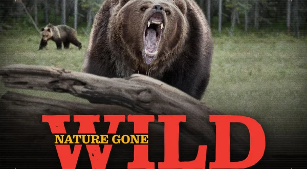 Nature Gone Wild