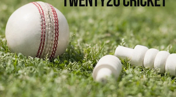 Twenty20 Cricket