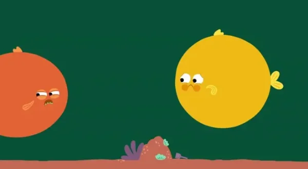 Animanimals