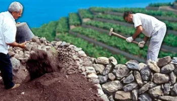 Los paredones. Muros de piedra para nivelar terrenos inclinados en una isla y poder cultivar