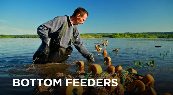 Bottom Feeders
