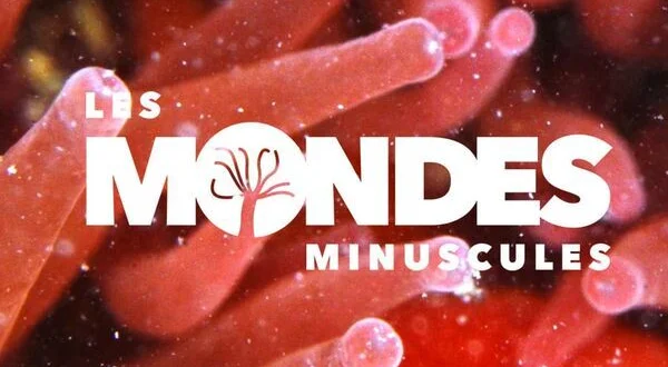 Les mondes minuscules