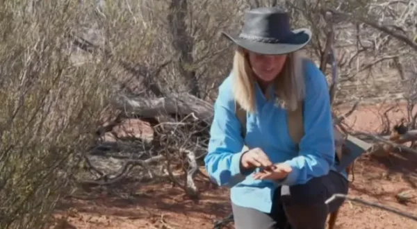 Aussie Gold Hunters