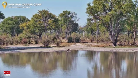 Wild Africa Live - Great Plains Conservation