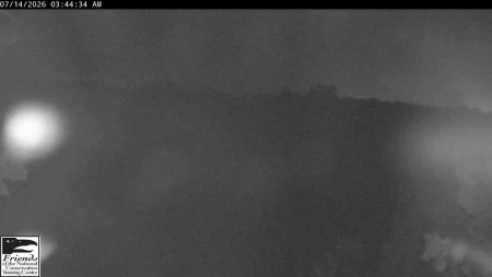 NCTC Eagle Nest - Camera 3 - Shepherdstown