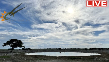 Okaukuejo Waterhole - Etosha National Park