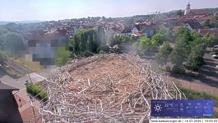 Stork Nest in Bad Salzungen, Thuringia