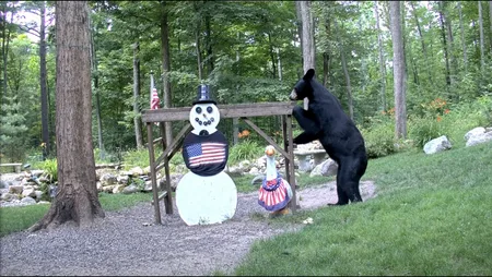 Snowman Cam - Gaylord, Michigan