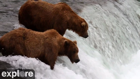 Brooks Falls - Katmai National Park, Alaska