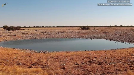 Okaukuejo Resort Wildlife Waterhole - Etosha National Park