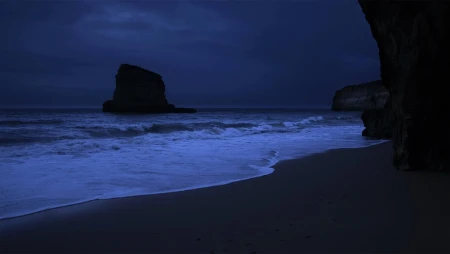 Ocean Waves at Night - Alentejo, Portugal