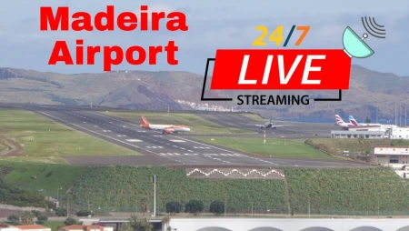Madeira Airport - Funchal - Plane Spotting