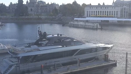 Victoria Harbour - CHEK News
