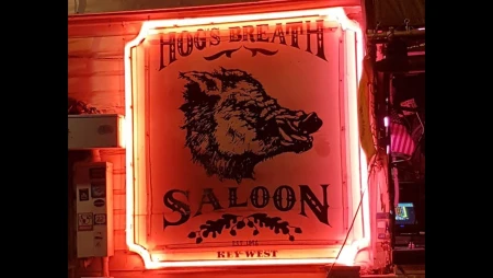 Hog's Breath Stage Cam