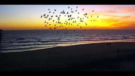 Jacksonville Beach Pier - South View