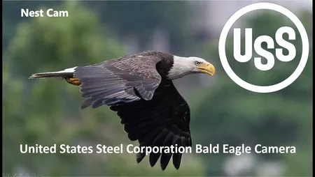 USS Bald Eagle Nest - West Mifflin