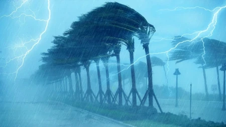 Storm Wipha - Heavy Rain and Thunder at the Beach