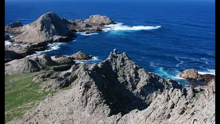 Farallon Islands - Southeast Farallon Island