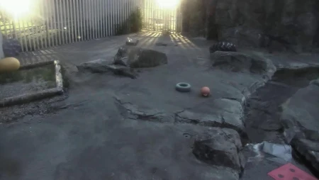 Alaska Zoo Polar Bear Habitat