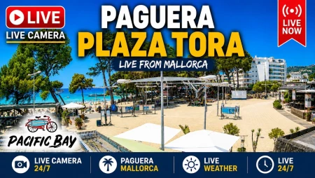 Cala Fornells - Mallorca - Paguera