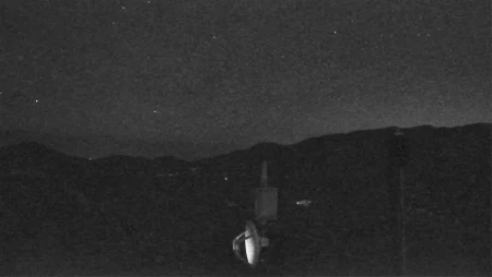 Bear Base Cam - Wildlife Observation