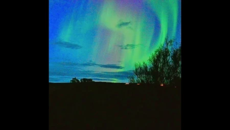 Northern Lights Sky Camera - North Iceland