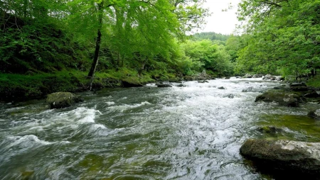 Mountain Forest Waterfall - Relaxing Nature Sounds